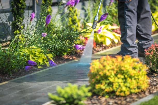 Best Patio and Deck Pressure Washing  in Bonny Doon, CA
